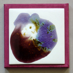 Porzellanbild rosa Stiefm&uuml;tterchen