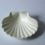 Jakobsmuschel Porzellan