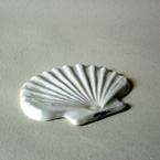 Jakobsmuschel Porzellan